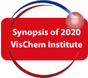 2020 VisChem Institute Synopsis